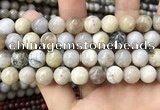 CAA3585 15.5 inches 12mm round ocean fossil agate beads wholesale