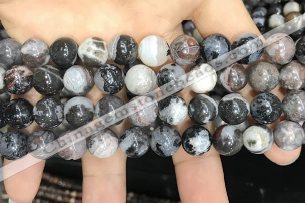 CAA3594 15.5 inches 10mm round black zebra agate beads wholesale