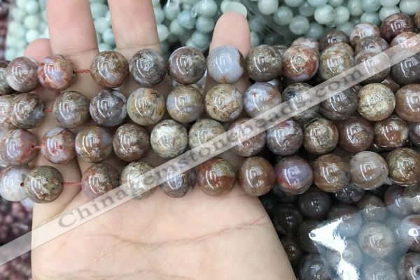 CAA3638 15.5 inches 8mm round flower agate beads wholesale