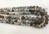 CAA3700 15.5 inches 6mm - 13mm round Botswana agate graduated beads