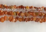 CAA3806 15.5 inches 4*6mm - 8*10mm chips red agate beads wholesale