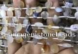 CAA3836 Top drilled 8*12mm faceted briolette montana agate beads