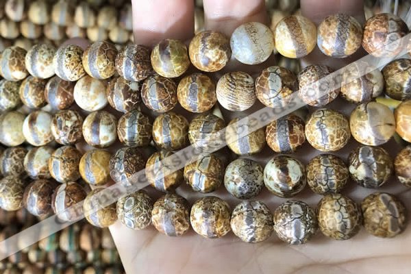 CAA3891 15 inches 10mm round tibetan agate beads wholesale