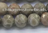 CAA3962 15.5 inches 8mm faceted round chrysanthemum agate beads