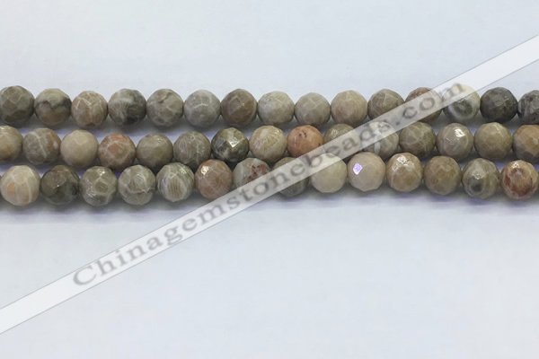 CAA3962 15.5 inches 8mm faceted round chrysanthemum agate beads