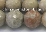 CAA3965 15.5 inches 14mm faceted round chrysanthemum agate beads