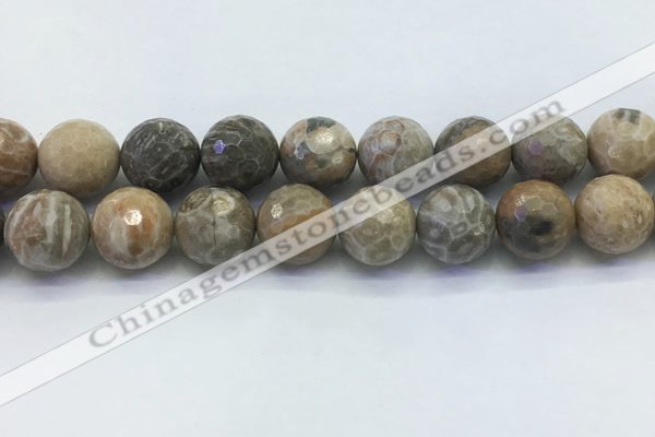 CAA3967 15.5 inches 18mm faceted round chrysanthemum agate beads