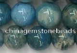 CAA3979 15.5 inches 10mm round chrysanthemum agate beads