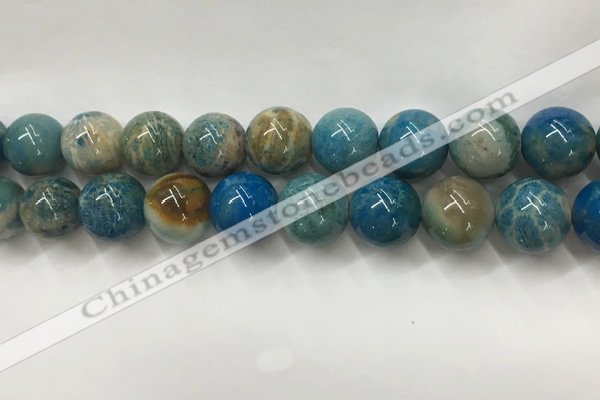 CAA3982 15.5 inches 16mm round chrysanthemum agate beads