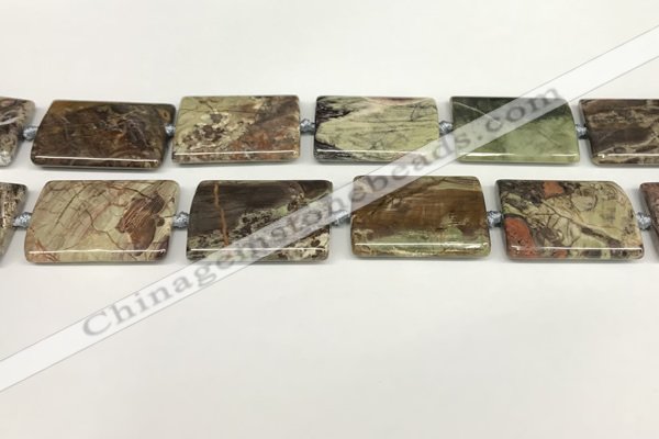 CAA4359 15.5 inches 25*35mm rectangle rainforest agate beads