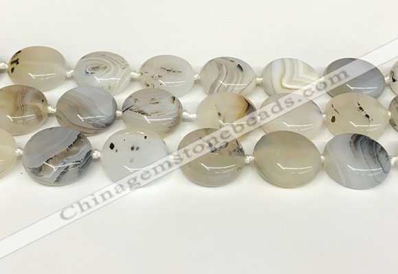 CAA4390 15.5 inches 25mm flat round Montana agate beads