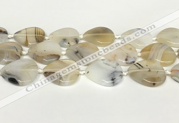 CAA4392 15.5 inches 30*30mm flat round Montana agate beads