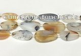 CAA4394 15.5 inches 18*28mm - 30*45mm freeform Montana agate beads