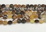 CAA4588 15.5 inches 12mm flat round banded agate beads wholesale