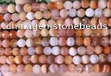 CAA4855 15.5 inches 6mm faceted round botswana agate beads