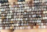 CAA4915 15.5 inches 4mm round Botswana agate beads wholesale