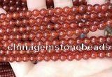 CAA4947 15.5 inches 6mm round red agate beads wholesale