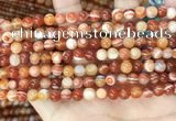CAA4950 15.5 inches 6mm round Madagascar agate beads wholesale