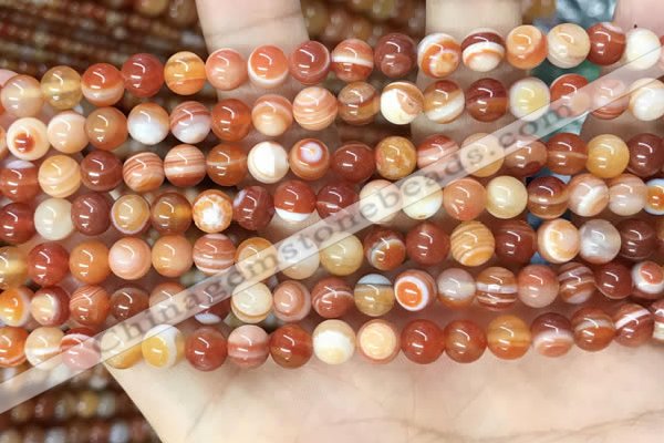 CAA4950 15.5 inches 6mm round Madagascar agate beads wholesale