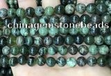 CAA4966 15.5 inches 8mm round green dendritic agate beads