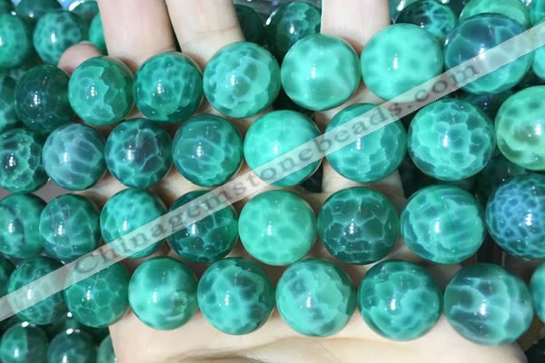 CAA5026 15.5 inches 16mm round green dragon veins agate beads