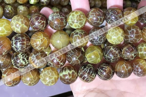 CAA5042 15.5 inches 16mm round yellow dragon veins agate beads