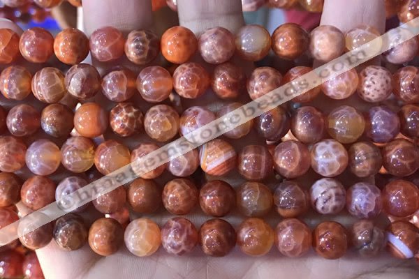 CAA5072 15.5 inches 8mm round red dragon veins agate beads