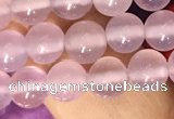 CAA5081 15.5 inches 6mm round purple agate beads wholesale