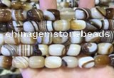 CAA5107 15.5 inches 10*14mm drum striped agate beads wholesale