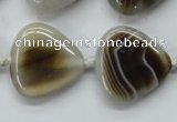 CAA527 15.5 inches 25*25mm triangle madagascar agate beads