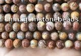 CAA5274 15.5 inches 12mm round natural red crazy lace agate beads