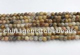 CAA5290 15.5 inches 4mm faceted round crazy lace agate beads wholesale