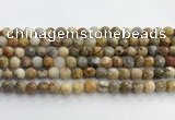 CAA5291 15.5 inches 6mm faceted round crazy lace agate beads wholesale