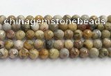 CAA5293 15.5 inches 10mm faceted round crazy lace agate beads wholesale