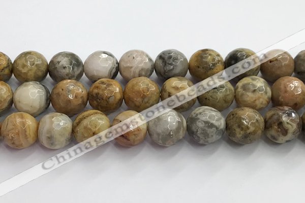 CAA5295 15.5 inches 14mm faceted round crazy lace agate beads wholesale