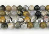 CAA5334 15.5 inches 12mm round ocean agate beads wholesale