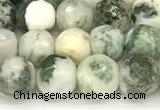 CAA5800 15 inches 6mm faceted round tree agate beads