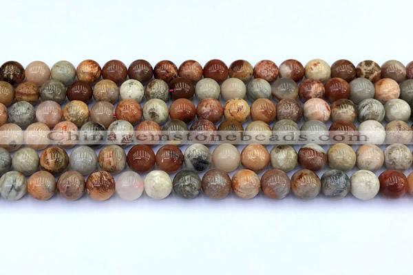 CAA5811 15 inches 8mm round chrysanthemum agate beads