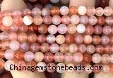 CAA6271 15 inches 6mm round south red agate beads wholesale