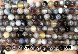 CAA6301 15 inches 6mm round Botswana agate gemstone beads