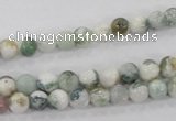 CAA700 15.5 inches 6mm round tree agate gemstone beads wholesale