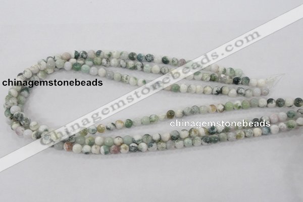 CAA700 15.5 inches 6mm round tree agate gemstone beads wholesale