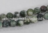 CAA701 15.5 inches 8mm round tree agate gemstone beads wholesale