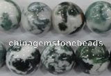 CAA705 15.5 inches 16mm round tree agate gemstone beads wholesale