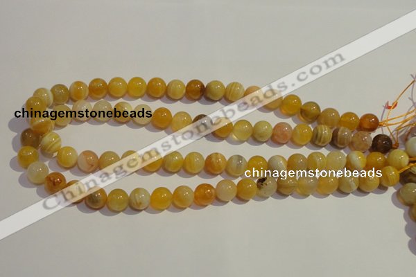 CAA88 15.5 inches 8mm round botswana agate gemstone beads