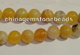 CAA89 15.5 inches 10mm round botswana agate gemstone beads