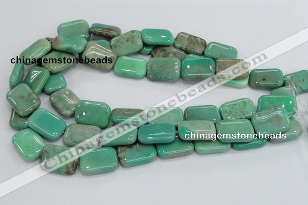 CAB29 15.5 inches 18*25mm rectangle green grass agate gemstone beads