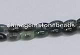 CAB387 15.5 inches 5*8mm rice moss agate gemstone beads wholesale