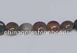 CAB448 15.5 inches 8mm flat round indian agate gemstone beads