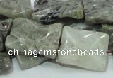 CAB581 15.5 inches 20*25mm wavy rectangle silver needle agate beads